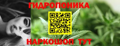 гидропоника Коммунар