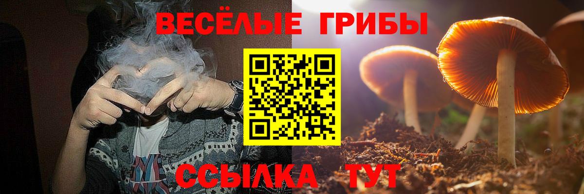 Галлюциногенные грибы прущие грибы Кисловодск